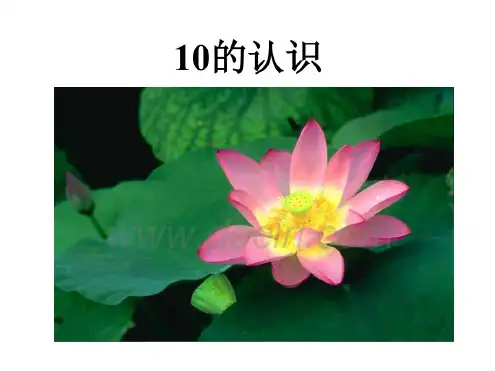 小学数学PPT课件《10的认识》