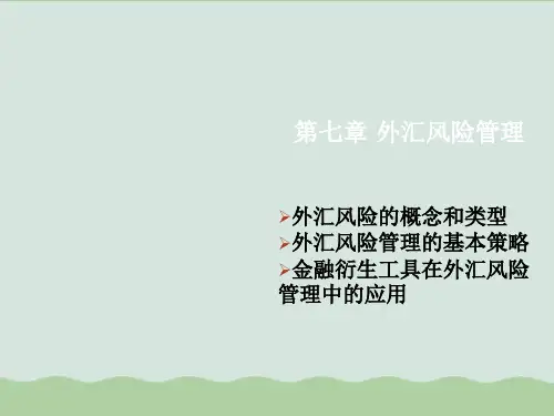 外汇风险管理教材PPT课件