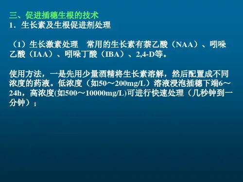 3.2苗木生产之无性繁殖