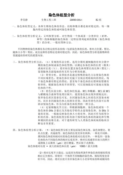 染色体组型分析