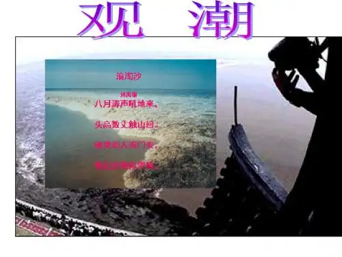 2017年八年级上册《观潮》课件ppt
