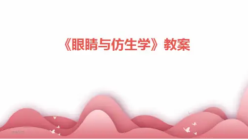 2024版《眼睛与仿生学》教案