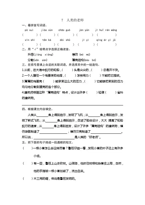 7  人类的老师 练习