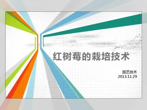 树莓的栽培技术