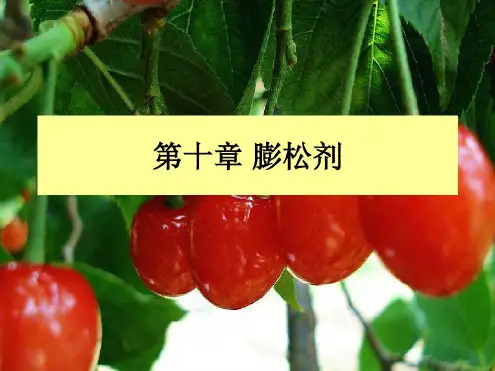 第十章食品膨松剂