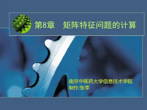 第章矩阵特征值的计算