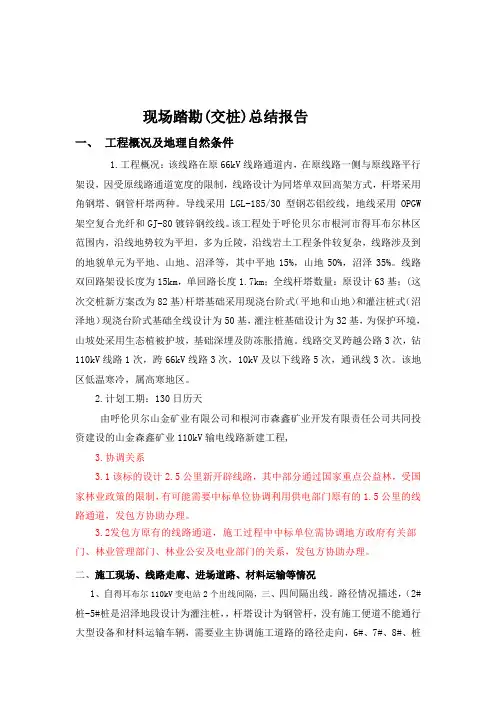 现场踏勘总结报告模板