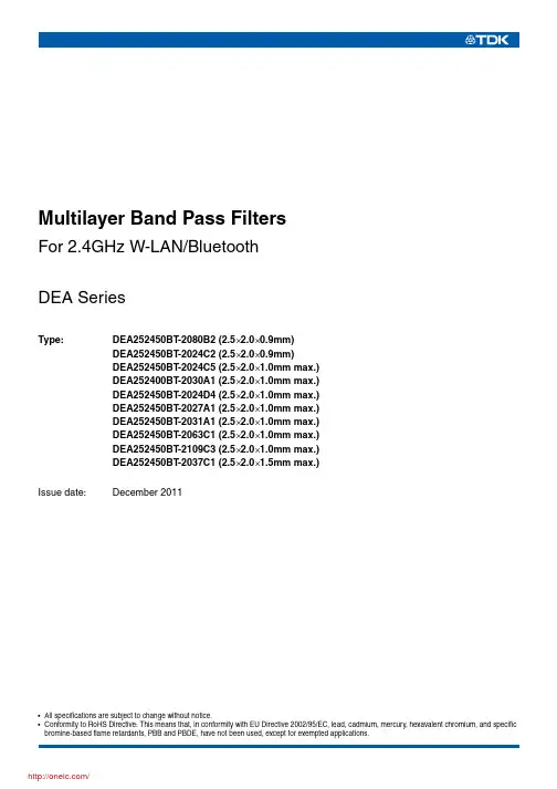 DEA252450BT-2063C1;DEA252450BT-2027A1;DEA252450BT-2024C2;中文规格书,Datasheet资料