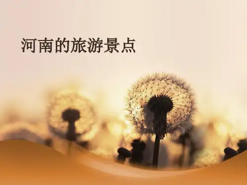 河南的旅游景点(ppt)分析
