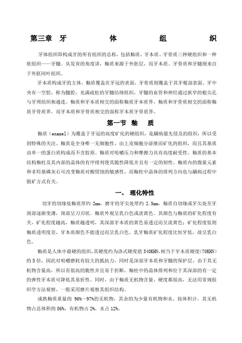 牙体组织
