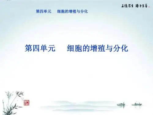 2013年高考生物二轮专题突破总复习 第10讲 细胞的增殖与分化课件 新人教版