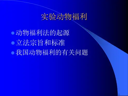 3R及常用实验动物