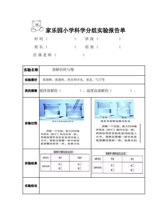 《溶解的快与慢》优秀实验报告单
