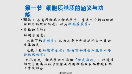 细胞质基质与内膜系统PPT课件