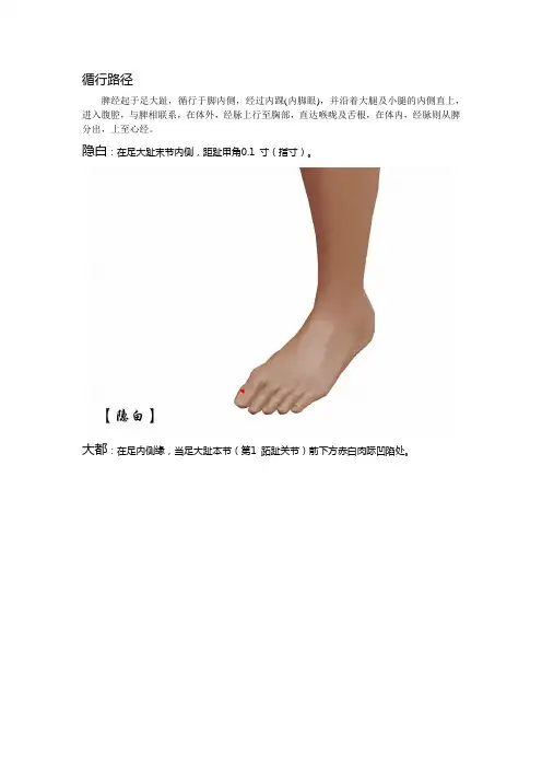 高清穴位图 足太阴脾经