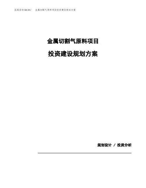金属切割气原料项目投资建设规划方案(模板)