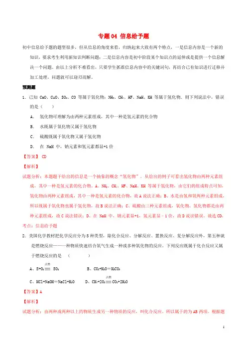 中考化学 专题04 信息给予题(含解析)1