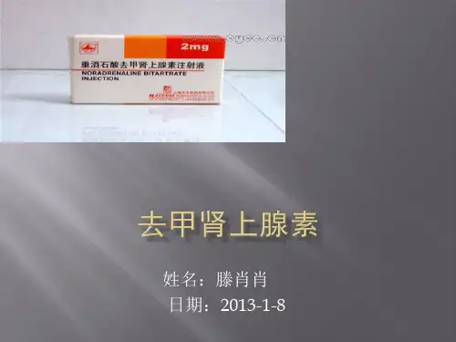 去甲肾上腺素的相关知识