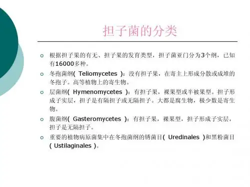 担子菌分类