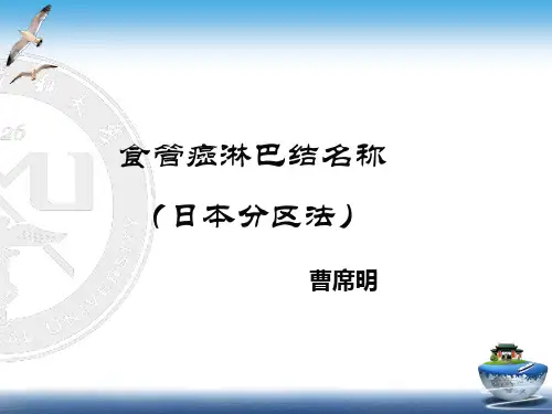 食管癌淋巴结的CT分区1