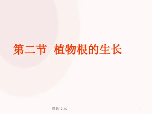 植物根的生长