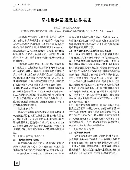 罗非鱼种苗温泉越冬技术