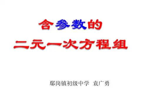 (完整版)含有参数的二元一次方程组