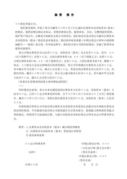 验资报告