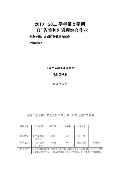 广告策划-综合作业