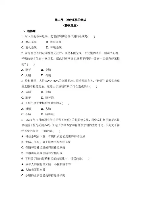 4.6.2 神经系统的组成 人教版七年级生物下册同步练习