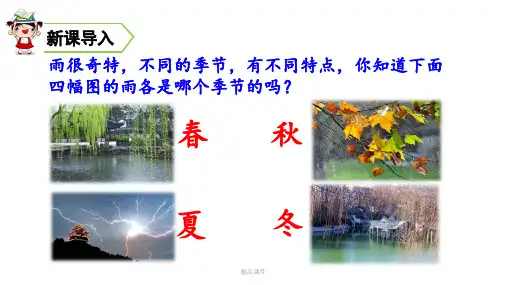 部编版6 秋天的雨 课件