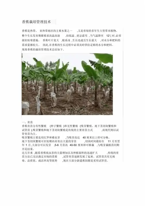 香蕉栽培管理技术