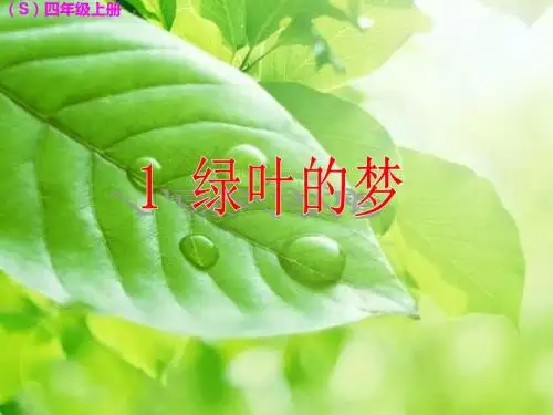 1绿叶的梦 (3)