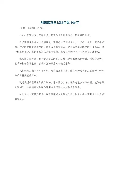 观察菠菜日记四年级400字