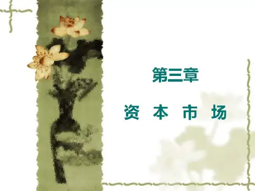 第三章资本市场k