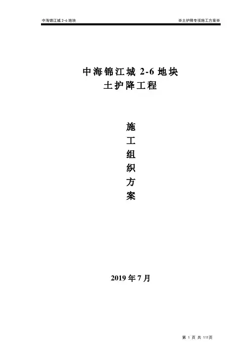 土护降施工方案