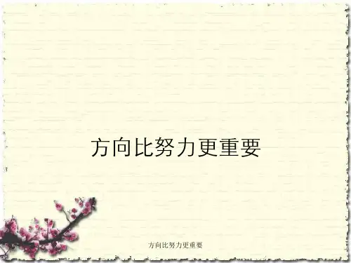 方向比努力更重要
