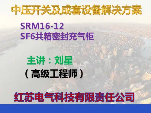 SRM16-12共箱式气体柜(SF6绝缘)