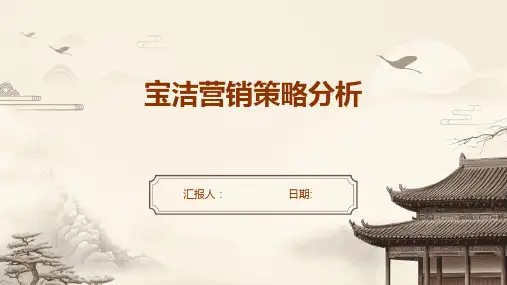 宝洁营销策略分析