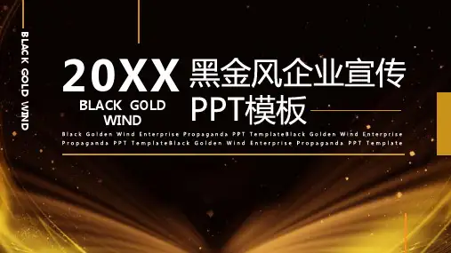 8-0515-3 黑金风企业宣传PPT模板