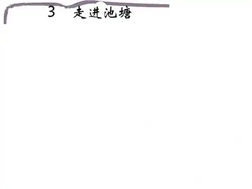 六年级科学上册1.3走进池塘课件1湘教版