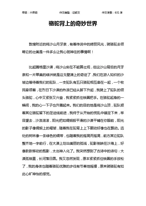 骆驼背上的奇妙世界作文【小学六年级600字】