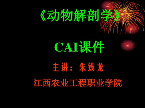 第二章 运动系统(肌肉)