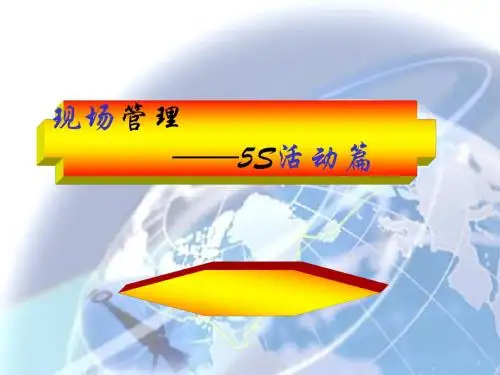 5S活动管理篇