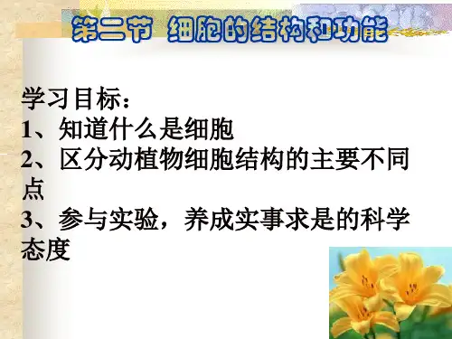 细胞的结构和功能初中生物课件