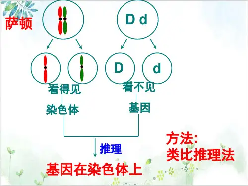 [人教版]《伴性遗传》完美课件1