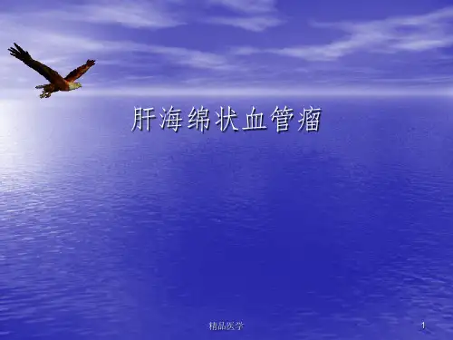 《肝海绵状血管瘤》PPT课件