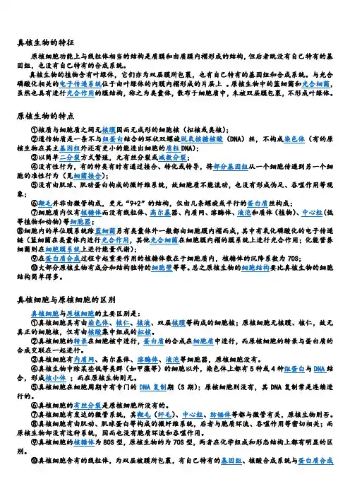 真核生物与原核生物的区别