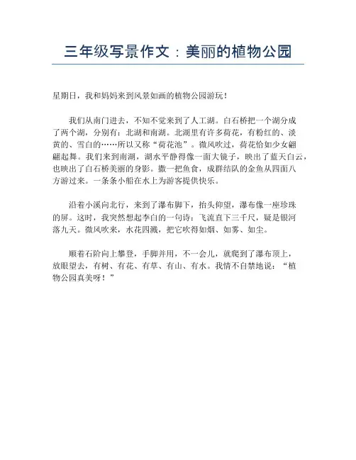 三年级写景作文：美丽的植物公园【小学三年级精品作文】