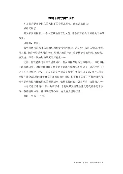 枫树下的守候之回忆_高中作文